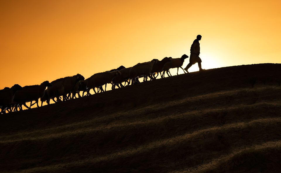 Jesus is the Good Shepherd